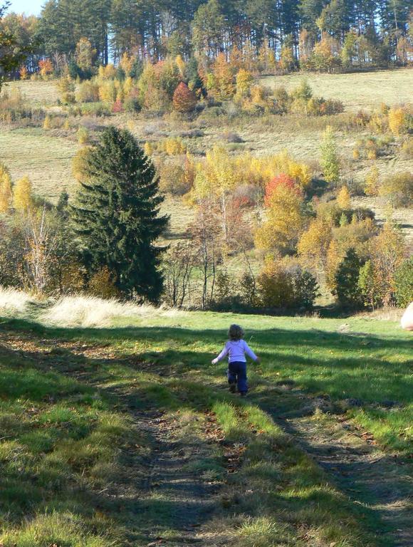 Art Pension Przecznica Eksteriør bilde